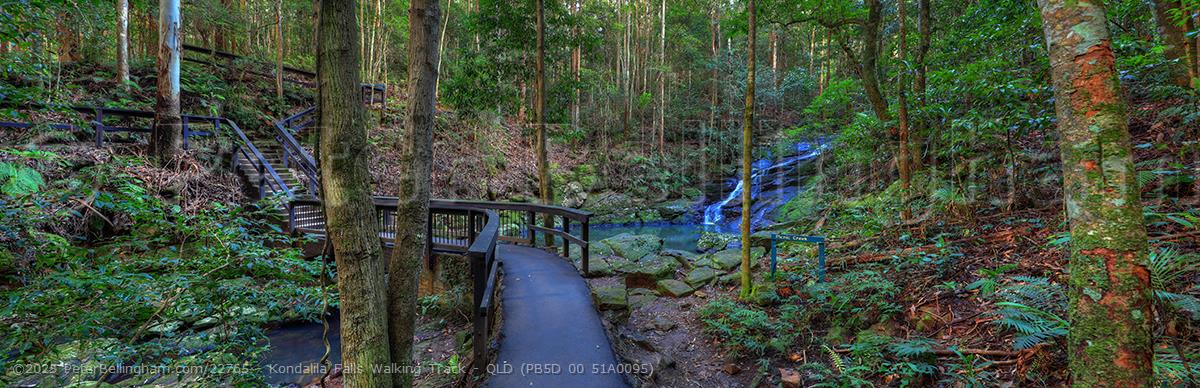 Peter Bellingham Photography Kondalila Falls Walking Track - QLD (PB5D 00 51A0095)